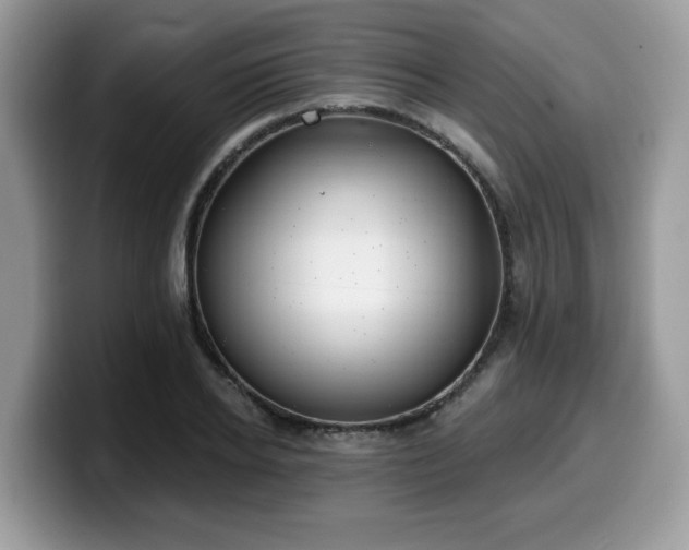 X0000099970934200805301331