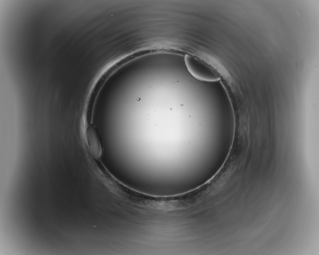 X0000099970936200805301331