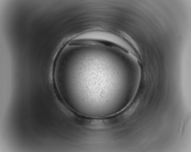 X0000099970938200805301331