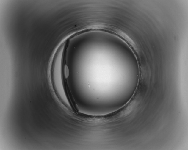 X0000099970939200805301331