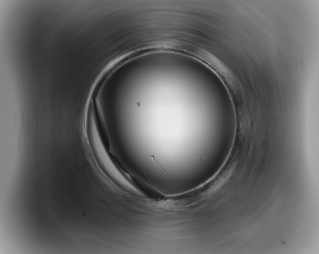 X0000099970940200805301331