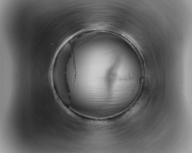 X0000099970941200805301331