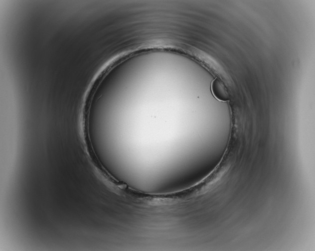 X0000099970942200805301331