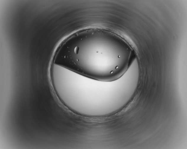 X0000099970944200805301331