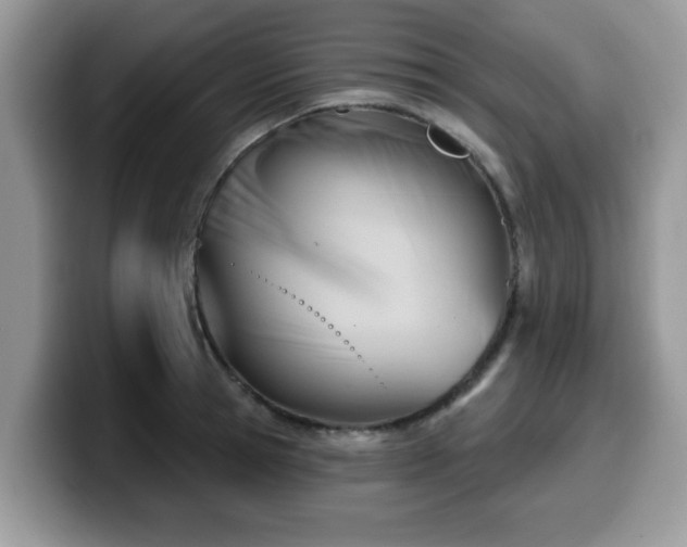 X0000099970945200805301331