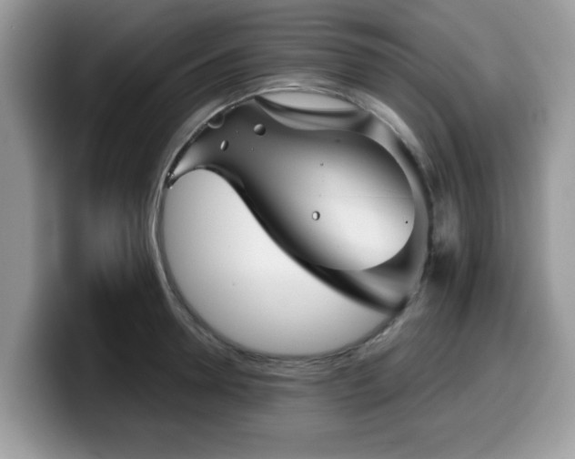 X0000099970946200805301331