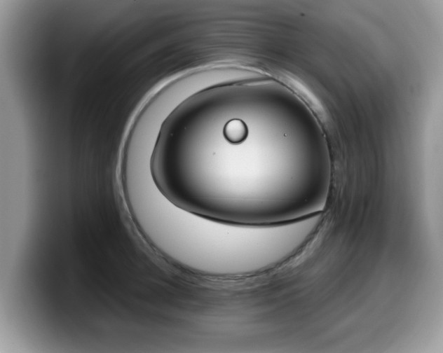 X0000099970948200805301331