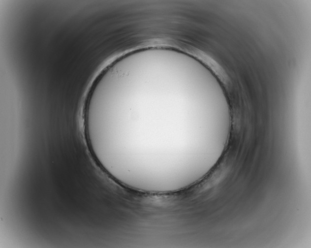 X0000099970950200805301331