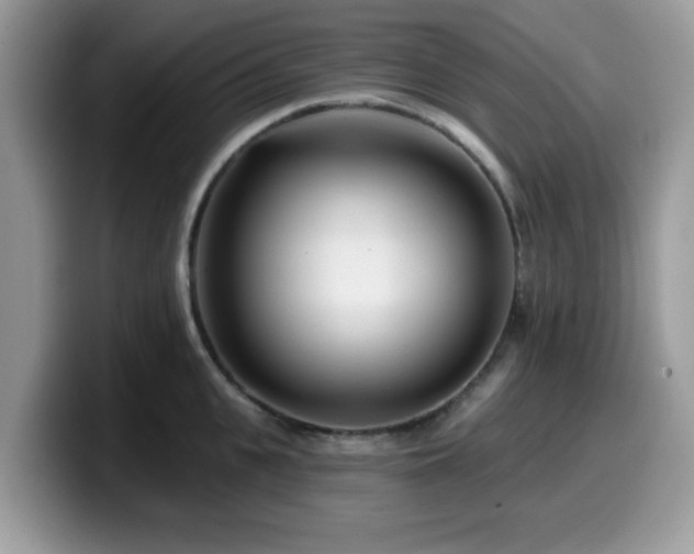 X0000099970951200805301331