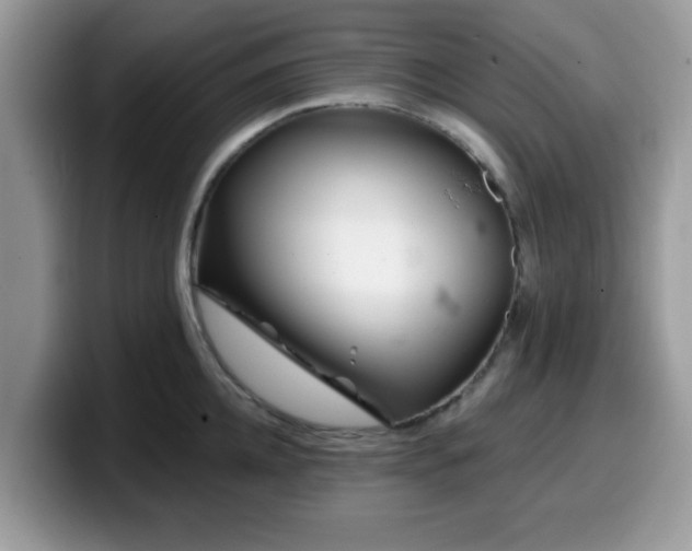 X0000099970952200805301331