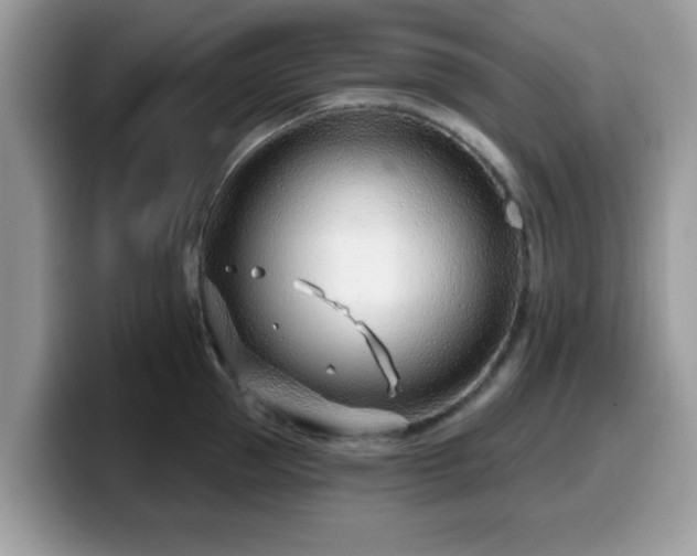 X0000099970953200805301331