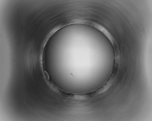 X0000099970954200805301331