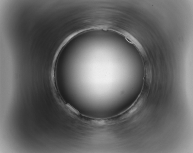 X0000099970956200805301331