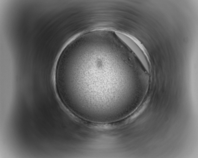 X0000099970957200805301331