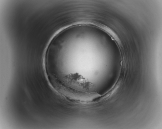 X0000099970958200805301331