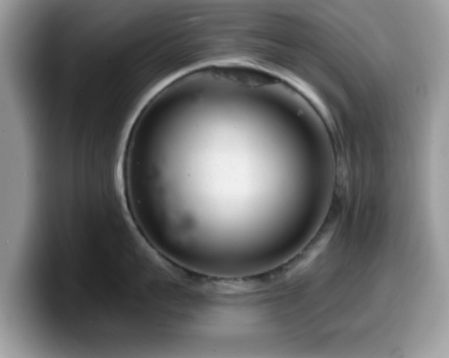 X0000099970959200805301331