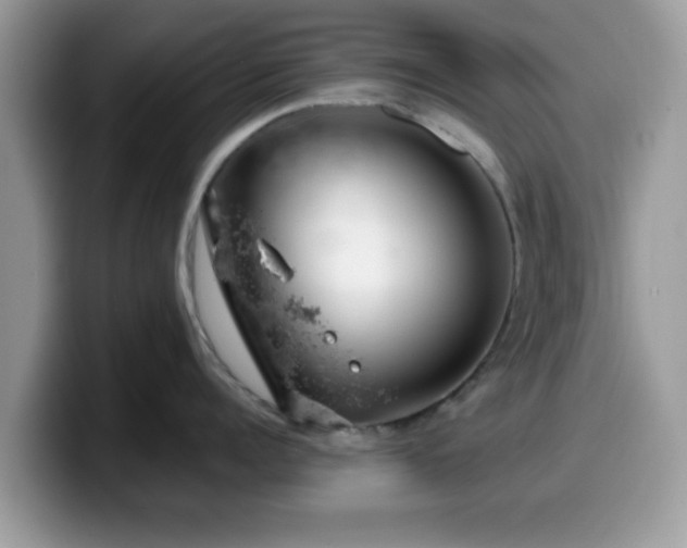 X0000099970960200805301331