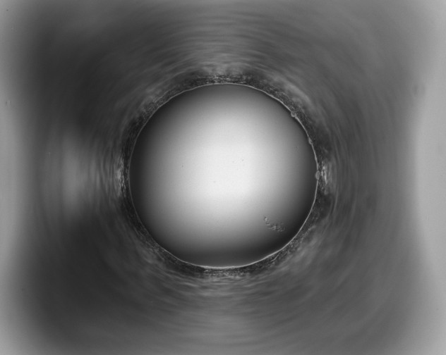 X0000099970963200805301331