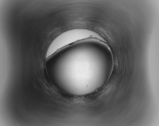 X0000099970964200805301331