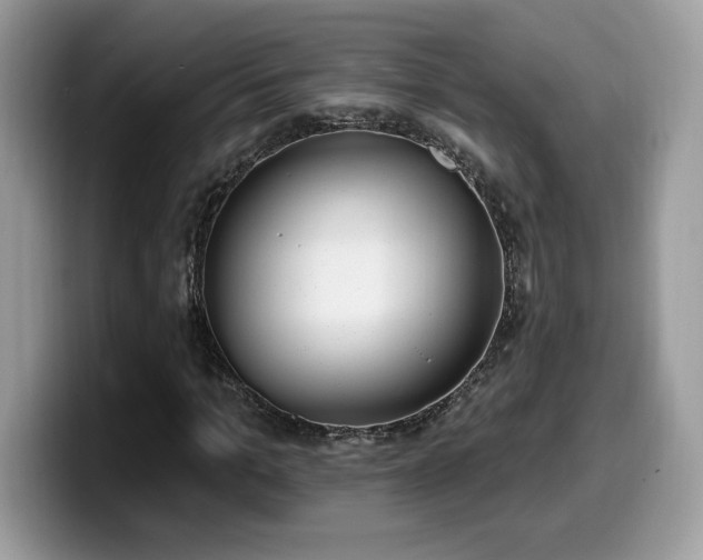 X0000099970965200805301331