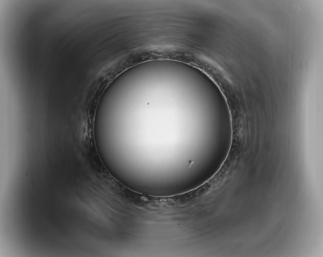 X0000099970966200805301330