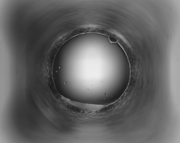 X0000099970967200805301330