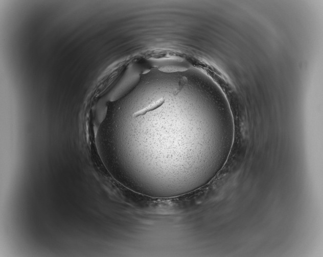 X0000099970968200805301330