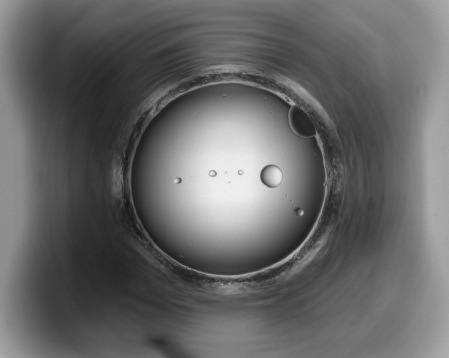 X0000099970969200805301330