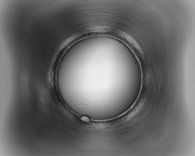 X0000099970970200805301330