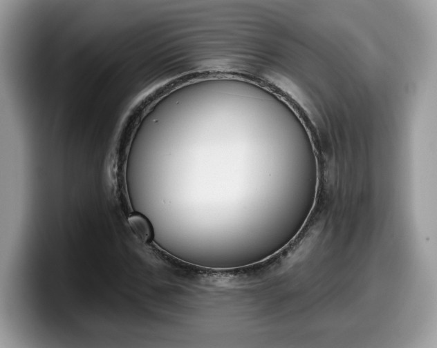 X0000099970971200805301330