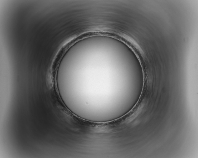 X0000099970974200805301330