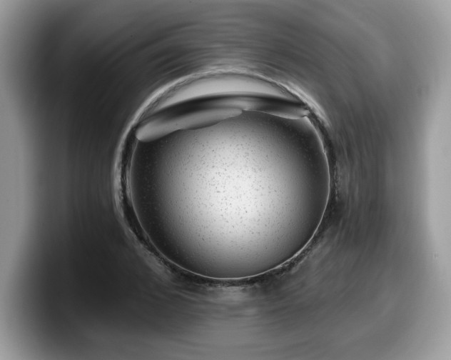 X0000099970976200805301330