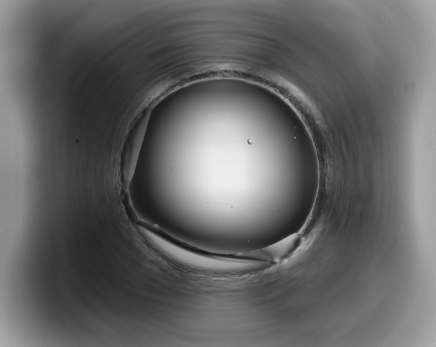 X0000099970977200805301330