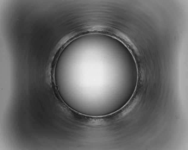 X0000099970978200805301330