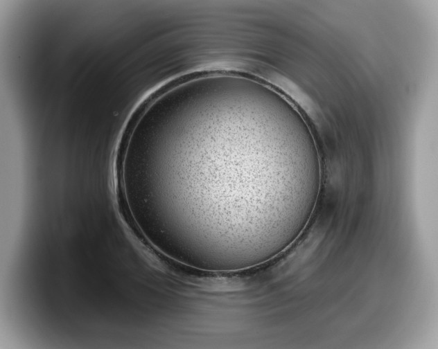 X0000099970980200805301330