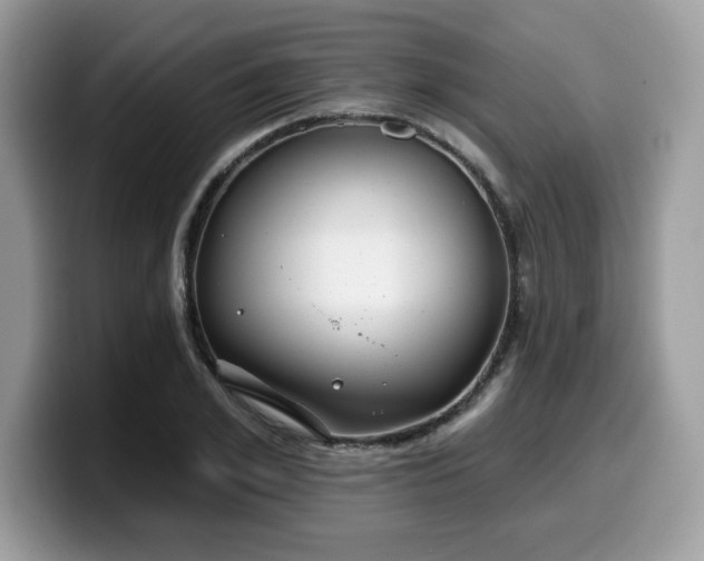 X0000099970981200805301330