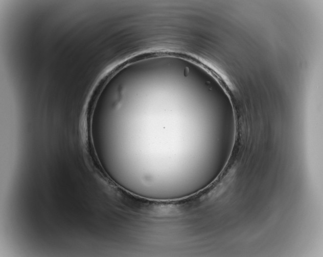 X0000099970982200805301330