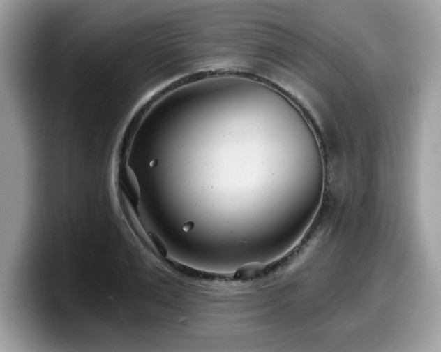 X0000099970983200805301330