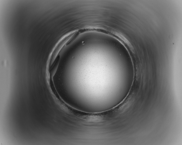 X0000099970984200805301330