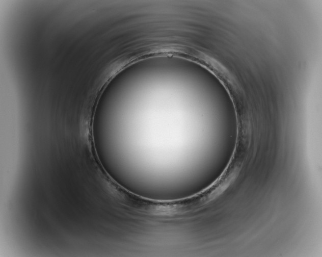 X0000099970985200805301330