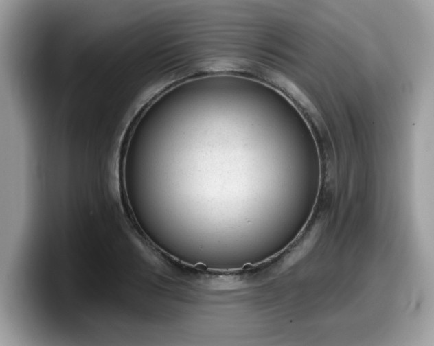 X0000099970986200805301330