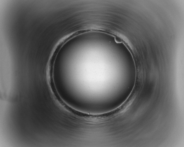 X0000099970987200805301330