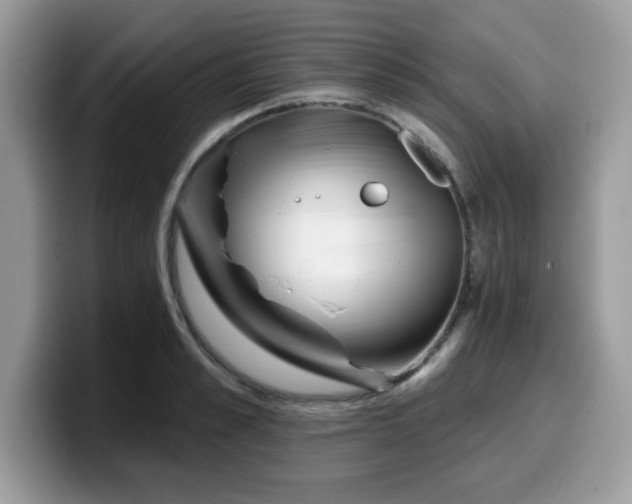 X0000099970989200805301330