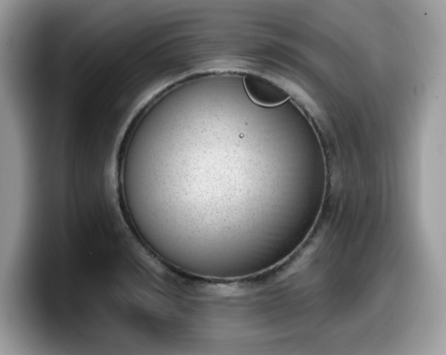 X0000099970990200805301330