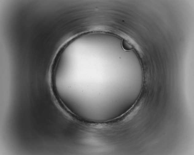 X0000099970991200805301330