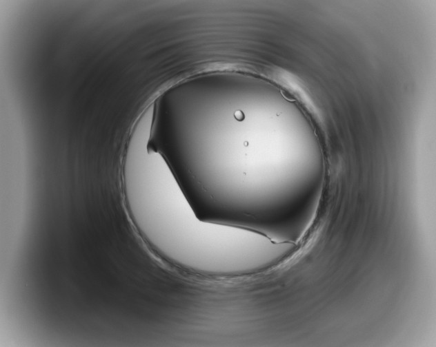 X0000099970993200805301330