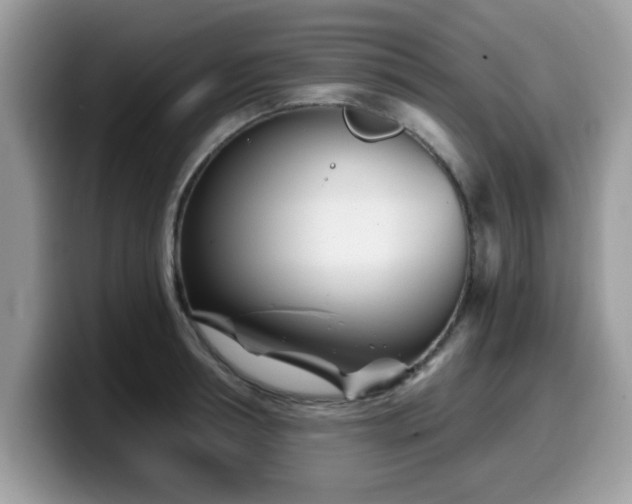 X0000099970994200805301330