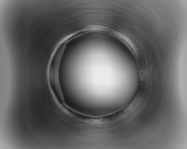 X0000099970995200805301330