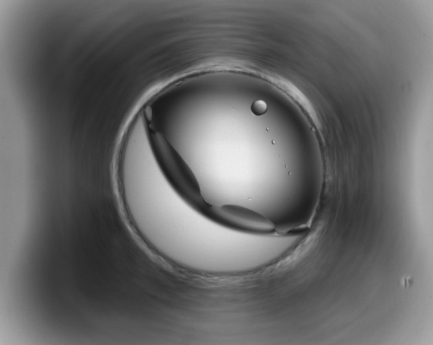 X0000099970997200805301330