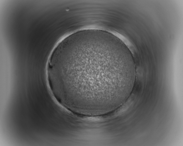 X0000099970998200805301330